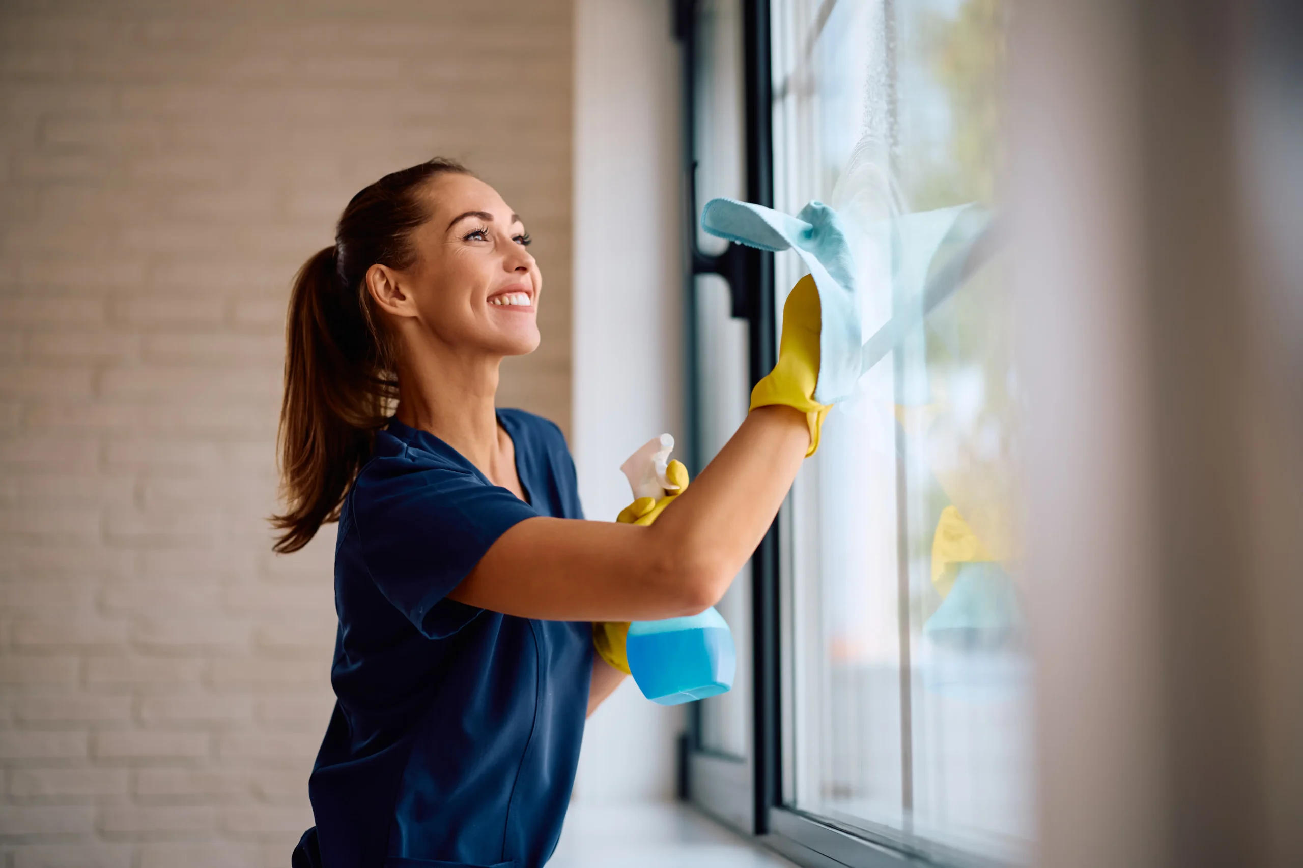 Deep cleaning service in Hendersonville